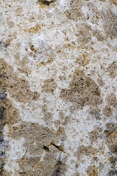石灰石纹理可用作纹理或背景。
