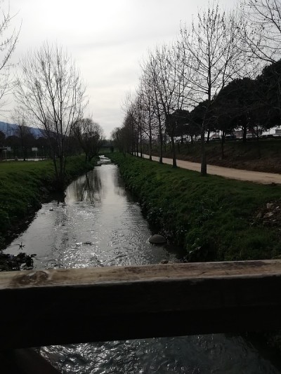 从桥上看河景