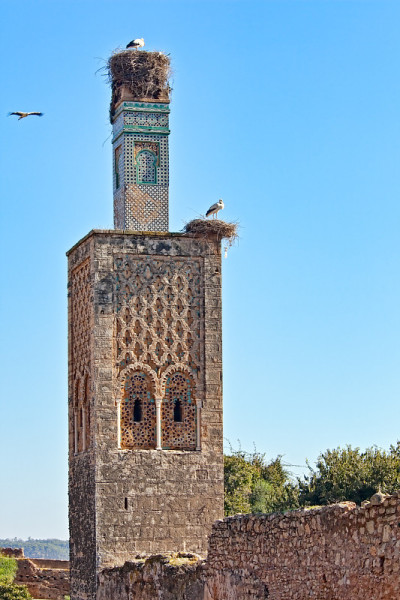 Kellah tower)
