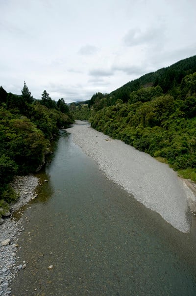 新西兰河
