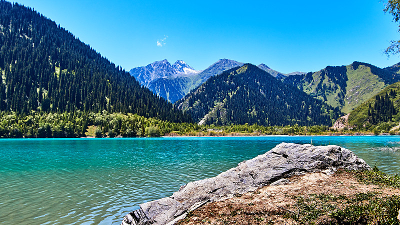 山湖和杉树覆盖的山坡的全景