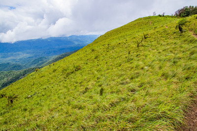在泰国德省Doi Luang Tak雨季的观点和绿色的田野。