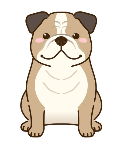 斗牛犬