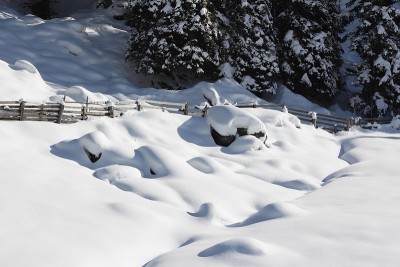 纯白的雪与阴影和闪光效果，冬季景色