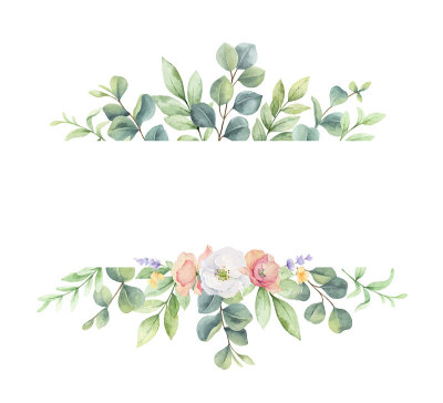 绿色树枝和野花孤立在白色背景上的水彩横幅。鲜花手绘插图贺卡，婚礼请柬，横幅与空间的文字和更多。