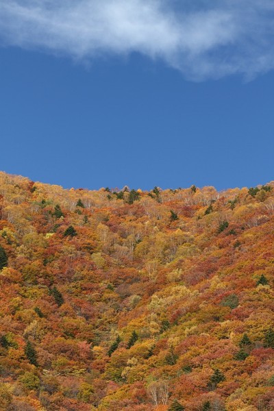 彩叶之山