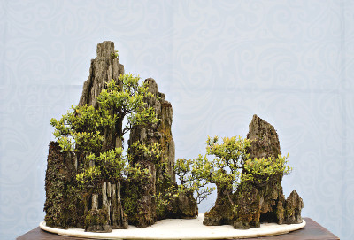 中国盆景