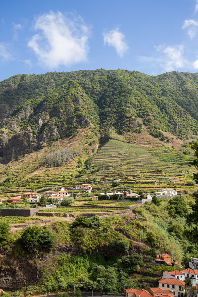 圣维森特周围的村庄和梯田种植。葡萄牙马德拉岛北岸