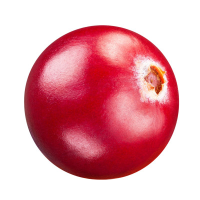 小红莓