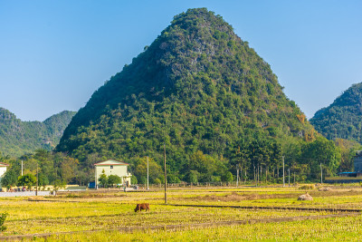 中国广西的风景