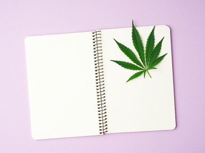 打开笔记本，空白的白纸和绿色的麻叶