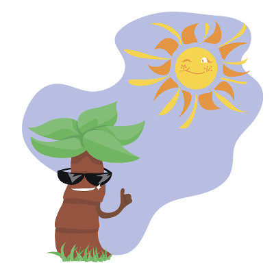 夏天的字符。太阳和棕榈树。