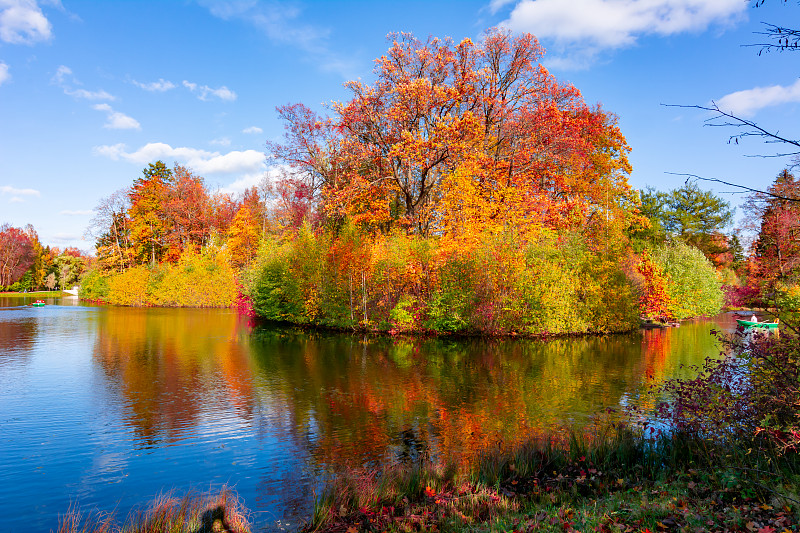 Autumn foliage in Pavlovsky park, Pavlovsk, Saint 