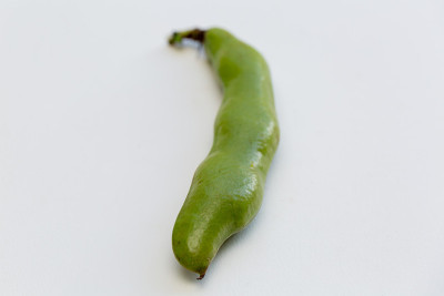 蚕豆