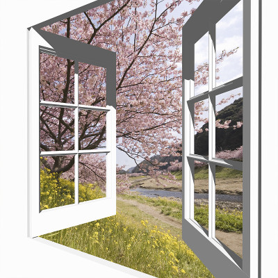 从樱花