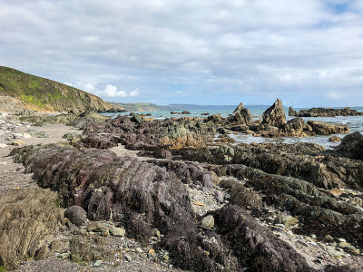英国德文郡波特林克海滩上的海岸岩石