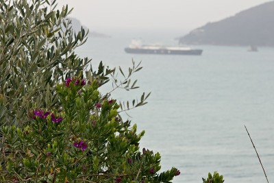 拉斯佩齐亚湾海边的花园