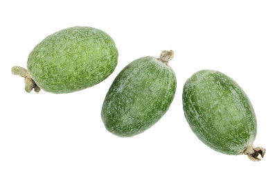 热带水果feijoa Acca sellowiana孤立在白色背景。前视图。平躺模式
