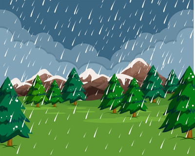 雨中的雨景