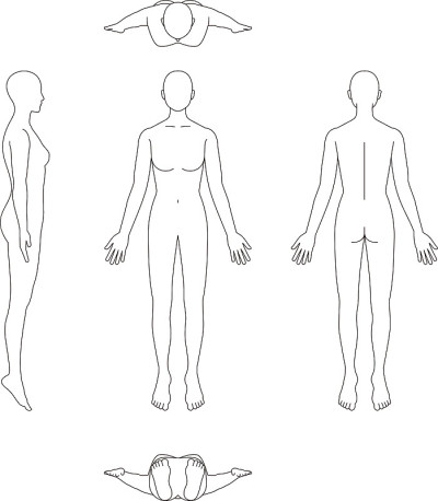 人体的插图。女性的草图