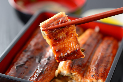 una-juu。鳗鱼饭盒子。日本的食物。