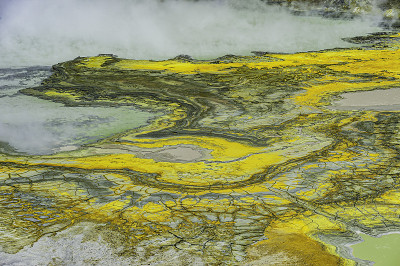 白岛火山特征