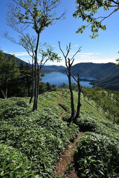 日本枥木市日光市的南台山