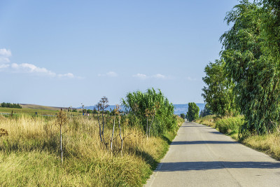 巴西利卡塔landscapes