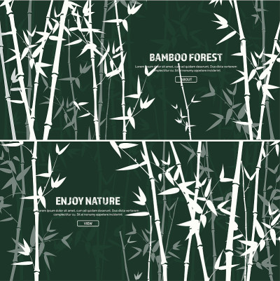Bamboo forest set. Nature. Japan or China. Green p