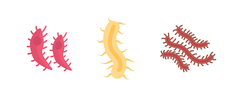 细菌、病毒、冠状病毒。