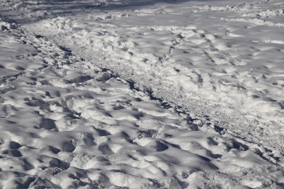 冬天雪地上的脚印