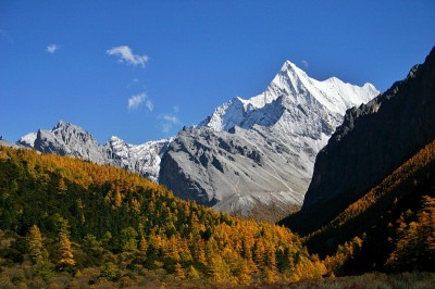 美丽的山景