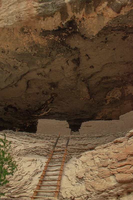 Looking up into cliff dwellings in Gila National P