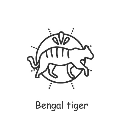 孟加拉虎线图标。可编辑的图片