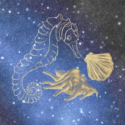 在宇宙天空的背景上，有金色的轮廓，海马和贝壳的插图。