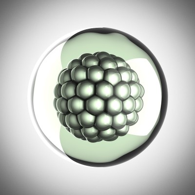 微细胞科学演示