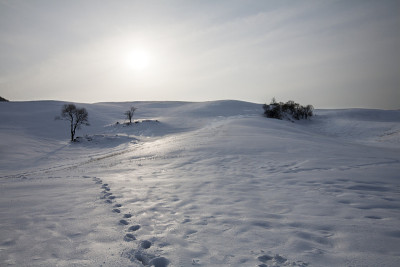 脚步,雪