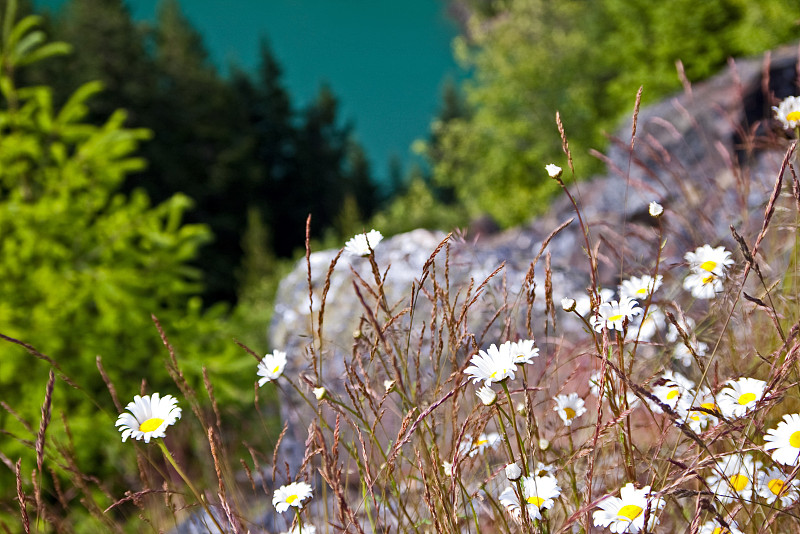 Mountain Detail