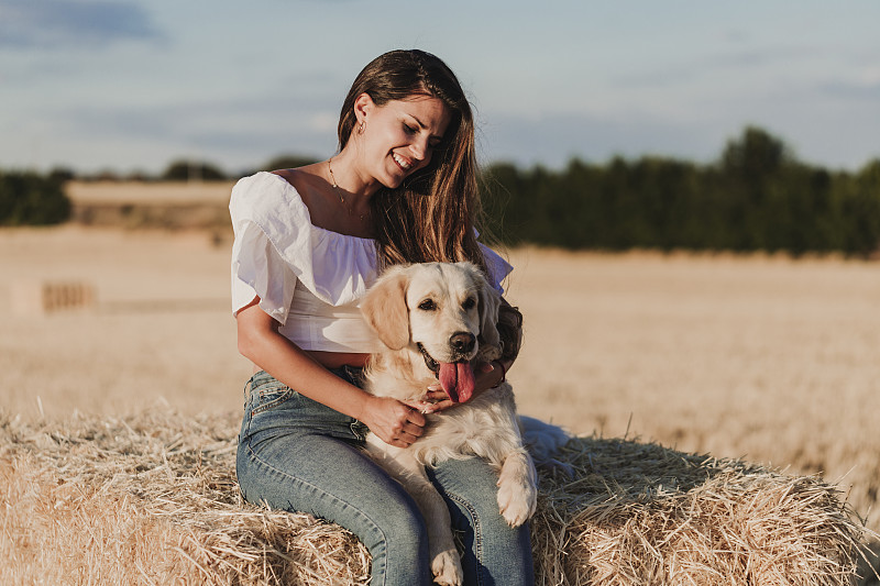 年轻美丽的女人和她的金毛猎犬在一个黄色的田野在日落。大自然与户外生活方式