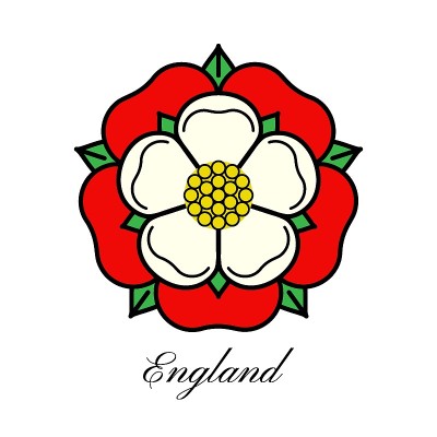 Tudoe玫瑰的英国矢量插图。