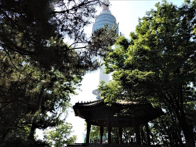 首尔。在南山山顶。电视塔