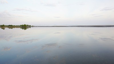 平静的海滩