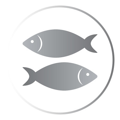 Fish icon. Vector illustration isolated on white b