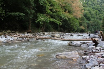 小溪风景和木桥