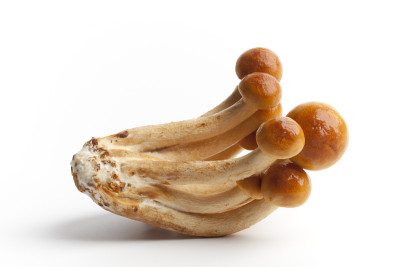 Nameco mushrooms