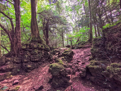 神奇的Puzzlewood