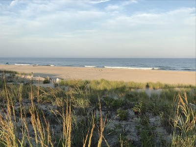海滩上的金色夏日