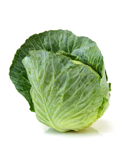 白底白菜