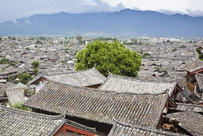 丽江:大雁古城
