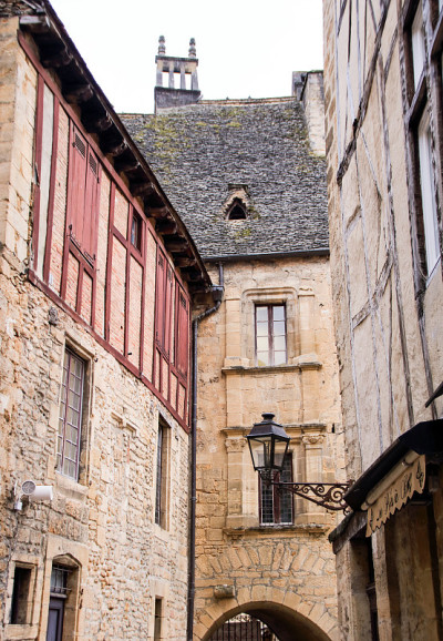 狗狗Sarlat
